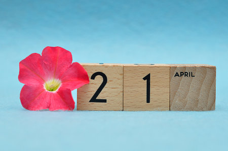 21 April on wooden blocks with a Petunia on a blue backgroundの写真素材