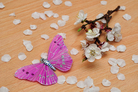 Apricot blossoms displayed with an artificial silk butterflyの写真素材