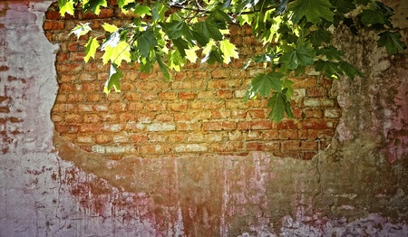 Grunge bricks wall background 