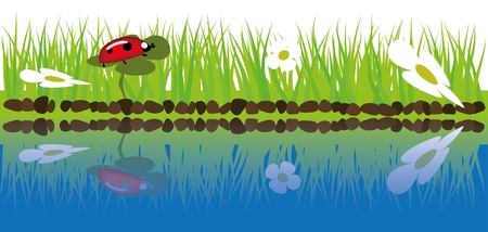 Green grass near waterのイラスト素材