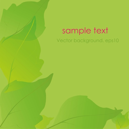 Green background. Leaves. Place for your textのイラスト素材