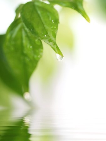 Spring nature backgroundの写真素材
