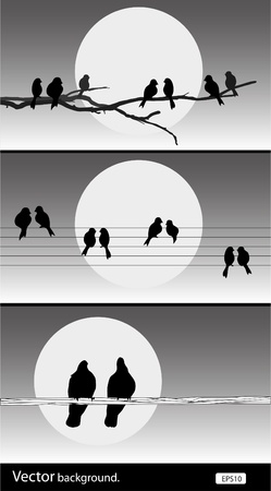 vector silhouette birds. Set of vector illustrationのイラスト素材