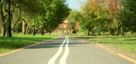 Bicycle road in autumnal  parkの写真素材