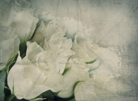 Textured old paper with beautiful bunch of white rose の写真素材