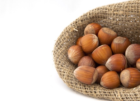 Hazelnuts in the pouch from rough clothの写真素材