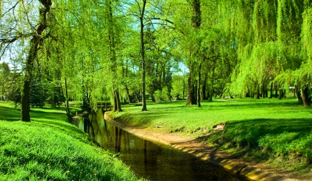 Green park in sunny morning with small riverの写真素材