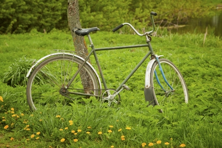Old bicycle parking near treeの写真素材