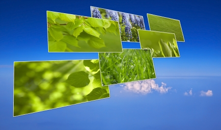Green grass and plant   Image collection on blue sky backgroundの写真素材