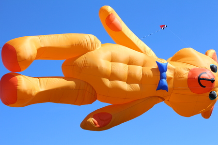 Festival of kites. There are many colored kites in the blue sky. Summer, sunny, outdoor entertainment. Kite flying in the sky.の写真素材