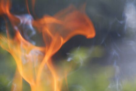 Texture. Bonfire. Orange flame of a fire. Burning birch tree in the fireplace. Bonfire close. Fire...