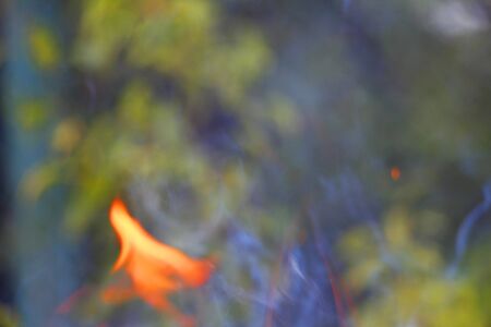 Texture. Bonfire. Orange flame of a fire. Burning birch tree in the fireplace. Bonfire close. Fire...