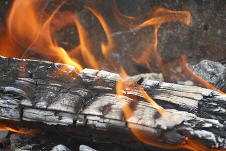Bonfire. Orange flame of a fire. Burning birch tree in the fireplace. Bonfire on the grill with...