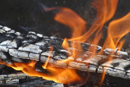 Bonfire. Orange flame of a fire. Burning birch tree in the fireplace. Bonfire on the grill with smoke. Arson or natural disaster. Bonfire close. Fire in nature. Bonfire background.の写真素材