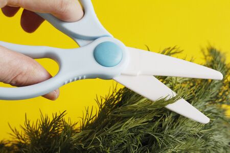 Ceramic scissors. Eco-friendly food slicing. Cooking for children. Cut food with ceramic scissors. Kitchen ceramic scissors.の写真素材