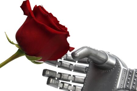 The robot gives flowers. Robot arm and live rose. Robot congratulates women on the holiday. Gift. White background. Smart robot. The concept of intelligent intelligence.の写真素材