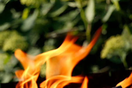 Texture. Bonfire. Orange flame of a fire. Bonfire close. Fire in nature. Bonfire background. Blurred...