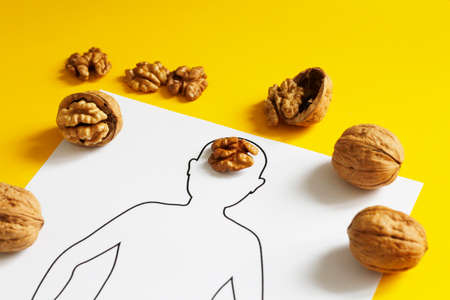 Walnut in the form of a human brain. The open walnut looks like a human brain. Brain model. Yellow background. Anatomy. The study. Anatomical concept of the brain in the form of a walnut.の写真素材