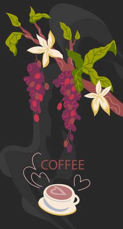 Coffee card or flyer template with mug and branch of coffee tree. Design for coffee shop menu or package of products.のイラスト素材
