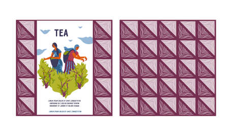 Bundle for tea packaging design consisting of repeatable pattern and scene of tea harvesting. Tea...
