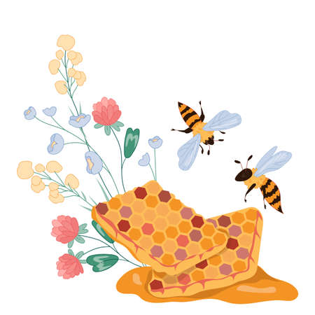 Honeycomb with flying above it bees and flowers, flat vector illustration isolated on white background. Honeybees and honey in combs. Image for honey packaging.のイラスト素材