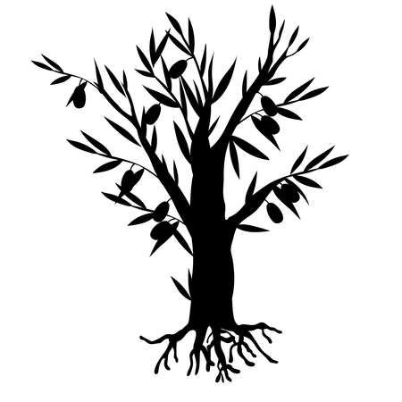 Olive tree black silhouette flat vector illustration isolated on white background. Olive tree for food and cosmetic products, black contour or outline symbol or sign.のイラスト素材
