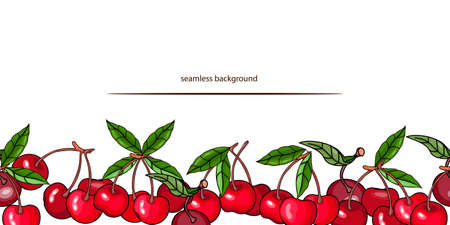 Seamless cherry border design vector illustration Isolated on a white background. Cherry berries arranged in decorative lower frame border, repeatable background.のイラスト素材
