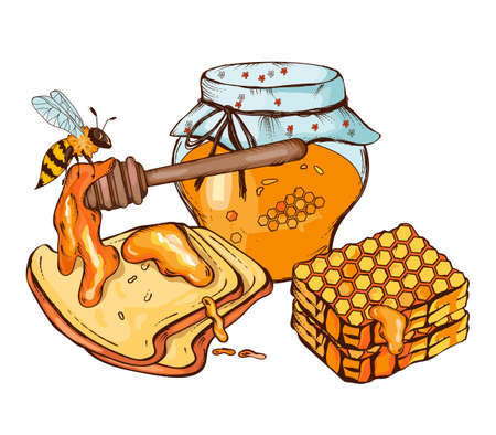 Jar with honey and honeycombs, bee and pieces of bread, hand drawn sketch style vector illustration isolated on white background. Bee organic flower natural honey.のイラスト素材