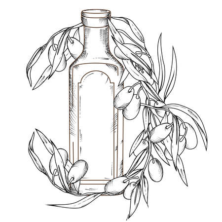 Olive oil bottle and fresh olives on branch in hand drawn vintage style, vector illustration isolated on white background. Engraving etched style hand drawn image of oil bottle.のイラスト素材