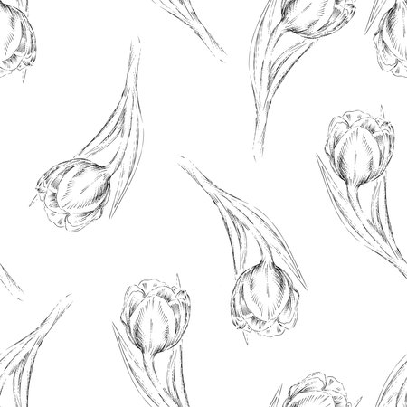 Seamless pattern with tulips flowers, black and white sketch style hand drawn vector illustration on white background. Tulips summer and spring decorative endless backdrop.のイラスト素材