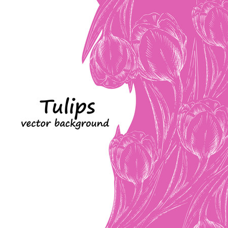 Tulips vector background or card design for invitations and greeting cards, hand drawn sketch style vector illustration.のイラスト素材