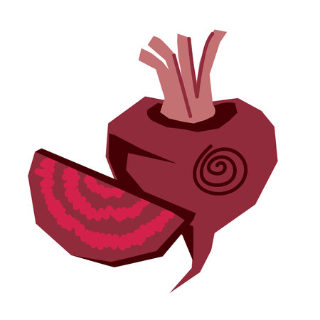 Beetroot whole and slice, flat hand drawn vector illustration isolated on white background. Beet vegetable icon for food packs and kitchenware.のイラスト素材