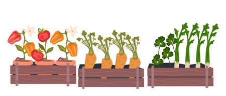 Sprouts of growing vegetables in pods, flat vector illustration isolated on white background. Seedlings and planting seeds, cultivating food plants in home garden concept.のイラスト素材