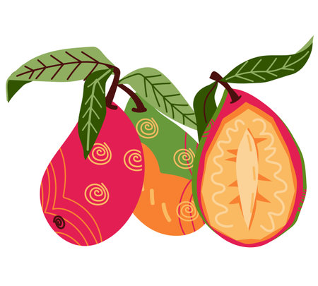Mango the delicious tropical fruit, perfect for food and juice packaging design, products labels or kitchen textile, flat vector illustration isolated on white background.のイラスト素材