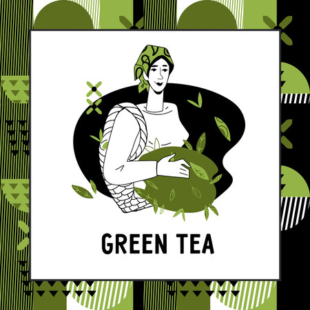Matcha tea or green tea label, banner template design. Backgrounds for tea products, hand drawn vector illustration on white background.のイラスト素材