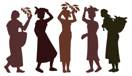 Silhouettes of women with coffee beans, vector illustration isolated on a white background. Women picking coffee, outline image.のイラスト素材