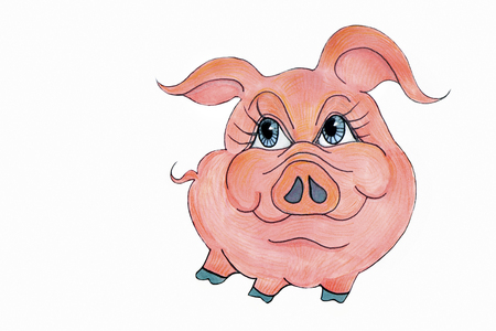 Funny piggy close - up on white background.Symbol of 2019.の写真素材
