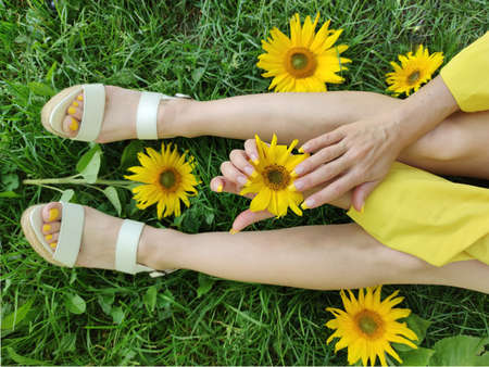 Fashionable design of yellow color on the nails of girls with sunflowers on the grass.の写真素材