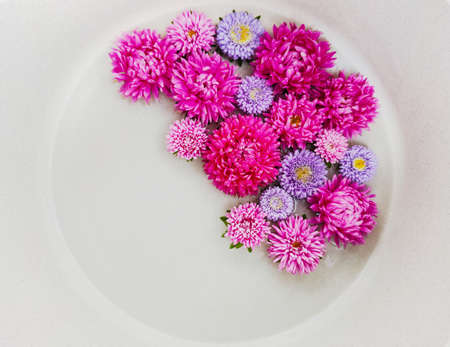 A beautiful bouquet of flowers from large and small asters in pink and lilac.の写真素材