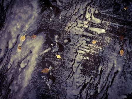 Abstract blur of water with foam along the road surface with fallen leaves in autumn.の写真素材