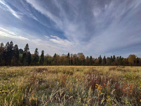 Landscape of fields and forests in the distance during the autumn period.の写真素材