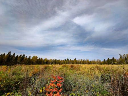 Landscape of fields and forests in the distance during the autumn period.の写真素材
