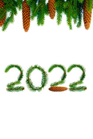 The new year 2022 is made of spruce branches.の写真素材