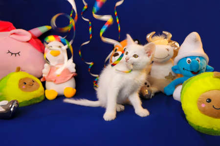A small white kitten is playing with a serpentine on the background of toys.の写真素材