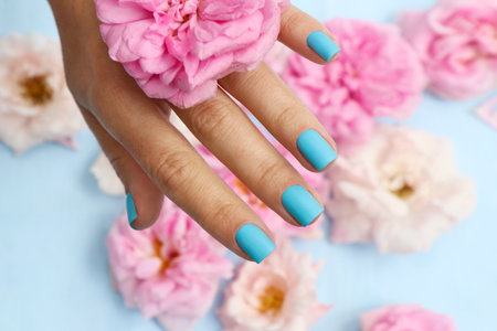Blue manicure on short nails with pink roses.の写真素材