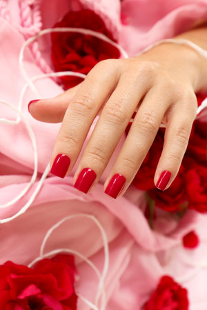 Red manicure with roses on short square nails.の写真素材
