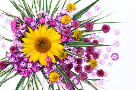 Bouquet of wildflowers and sunflower on white backgroundの写真素材