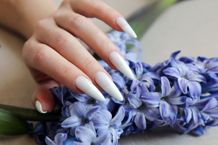 Female hand with french manicure and blue hyacinth flowers.の写真素材