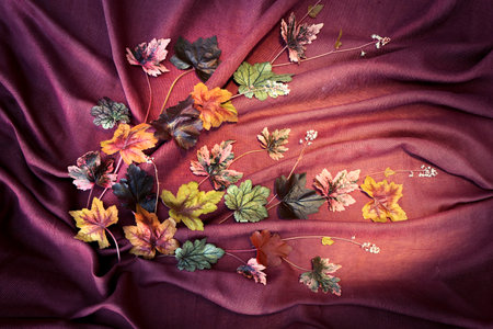 Flower arrangement of Gerhera leaves on a burgundy-brown background.の写真素材