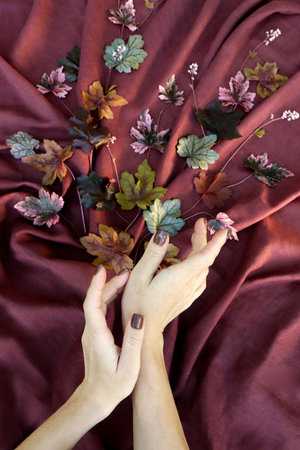 Women's hands with manicure on the background of a flower arrangement with Geyhera leaves.の写真素材